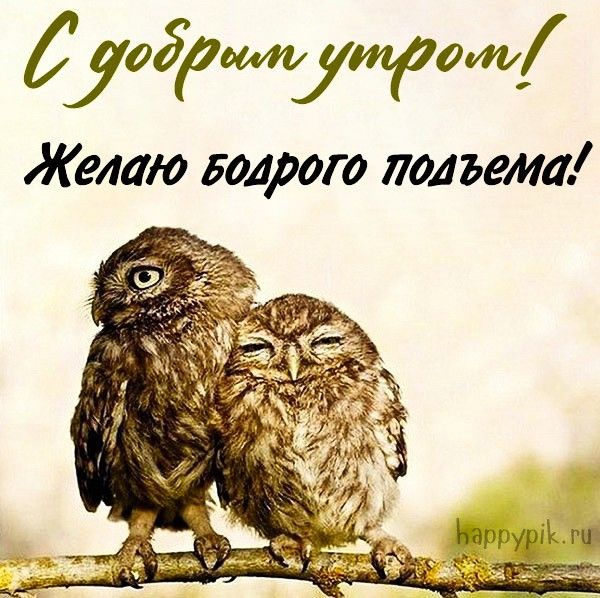 Позитивные картинки Доброе утро 😄 👇 – скачать Позитивные картинки Доброе утро 😄 👇 – скачать