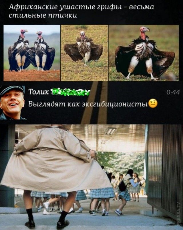 Картинки и мемы для настроения 30.01.21 – ЯПлакалъ Картинки и мемы для настроения 30.01.21 – ЯПлакалъ