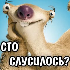 Набор стикеров для Telegram «Ленивец Сид» Набор стикеров для Telegram «Ленивец Сид»