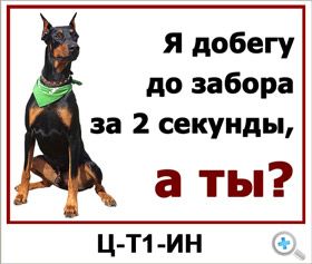 Прикольные, веселые таблички “Осторожно злая собака”, вывески на двери