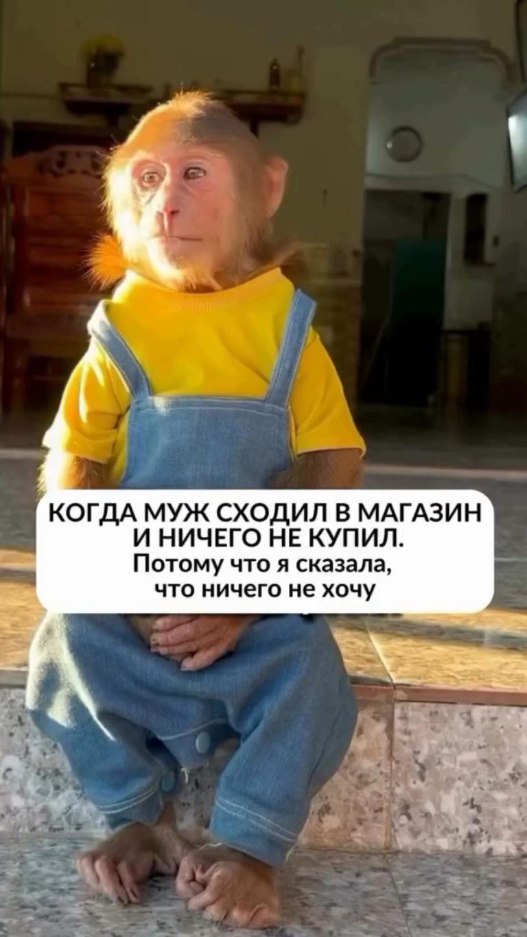 Смешные видео 98 Смешные видео 98