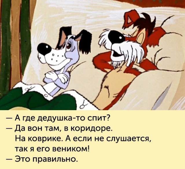 Незабываемые фразы из наших любимых мультфильмов Незабываемые фразы из наших любимых мультфильмов