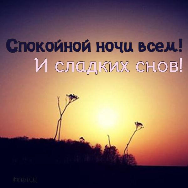 Открытки, картинки “Спокойной ночи, сладких снов” Открытки, картинки “Спокойной ночи, сладких снов”
