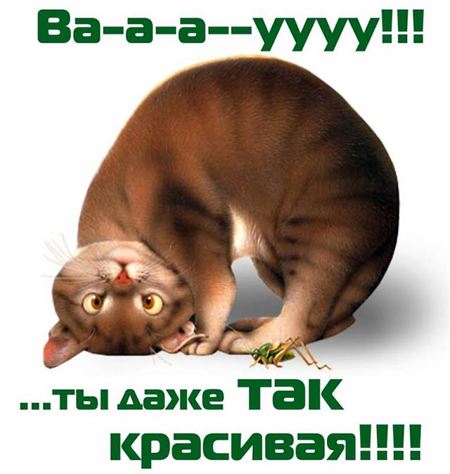 Комплименты девушке Комплименты девушке