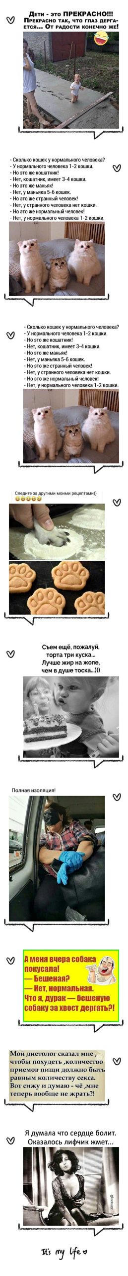 Прекрасного настроения, хорошего дня Прекрасного настроения, хорошего дня