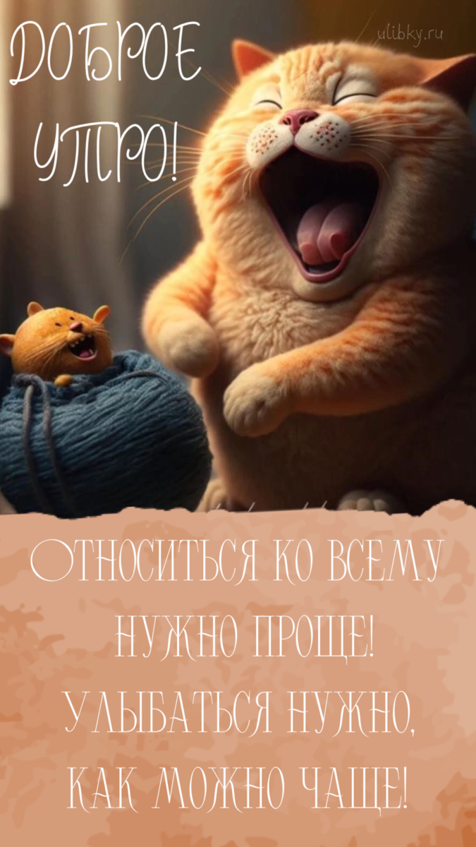 Доброе утро с животными – новые открытки (46 ФОТО) Доброе утро с животными – новые открытки (46 ФОТО)