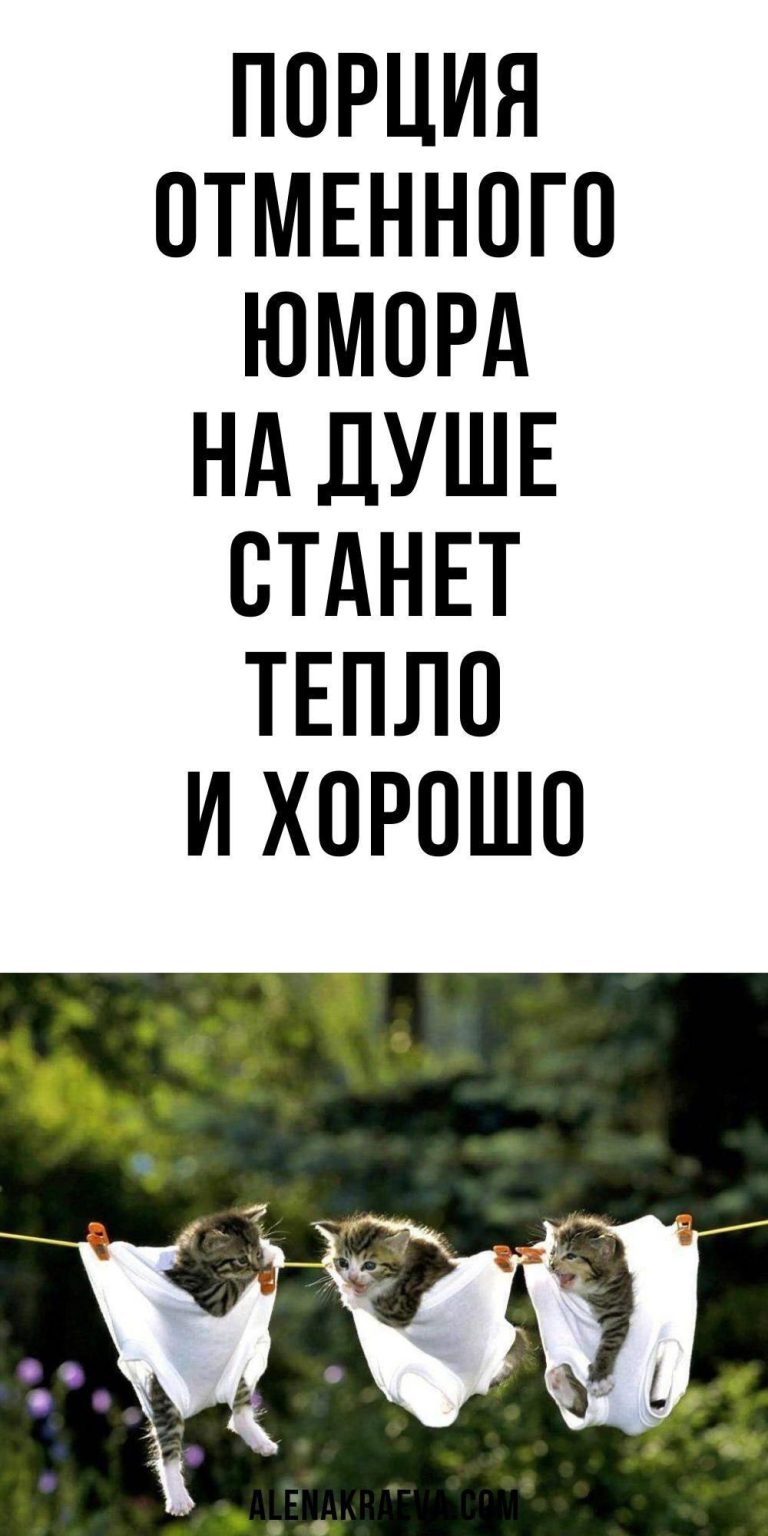 Порция отменного юмора, смешно до слез | my-tips.ru Порция отменного юмора, смешно до слез | my-tips.ru