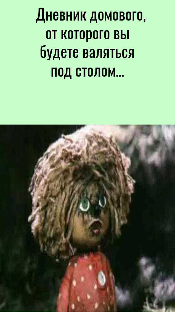 Дневник домового, от которого вы будете валяться под столом Дневник домового, от которого вы будете валяться под столом