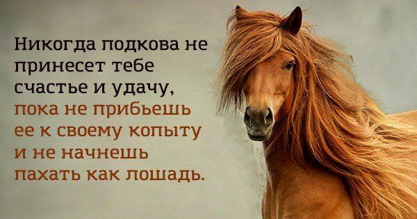 Сохрани себе эти советы в картинках и просматривай их, когда тебе будет грустно Сохрани себе эти советы в картинках и просматривай их, когда тебе будет грустно