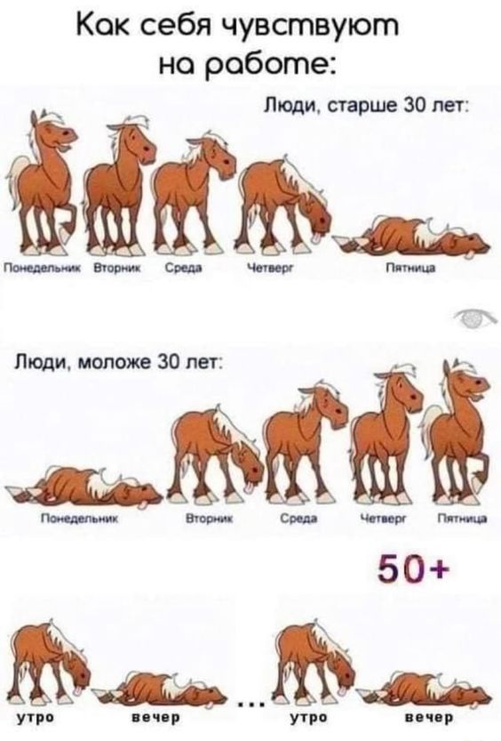 картинки смешные625 картинки смешные625