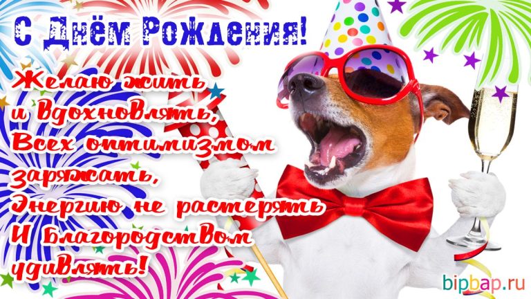 Прикольные поздравления с днем рождения мужчине (137 фото) 🔥 BipBap.ru Прикольные поздравления с днем рождения мужчине (137 фото) 🔥 BipBap.ru
