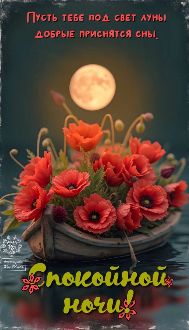 Спокойной ночи! 🌙 Спокойной ночи! 🌙