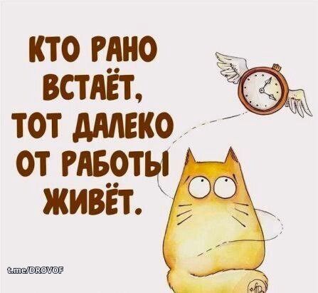 Женский юмор Женский юмор