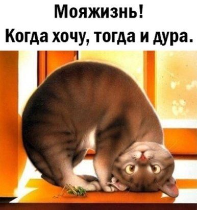#юмор | Интересный контент в группе Душевный юмор #юмор | Интересный контент в группе Душевный юмор