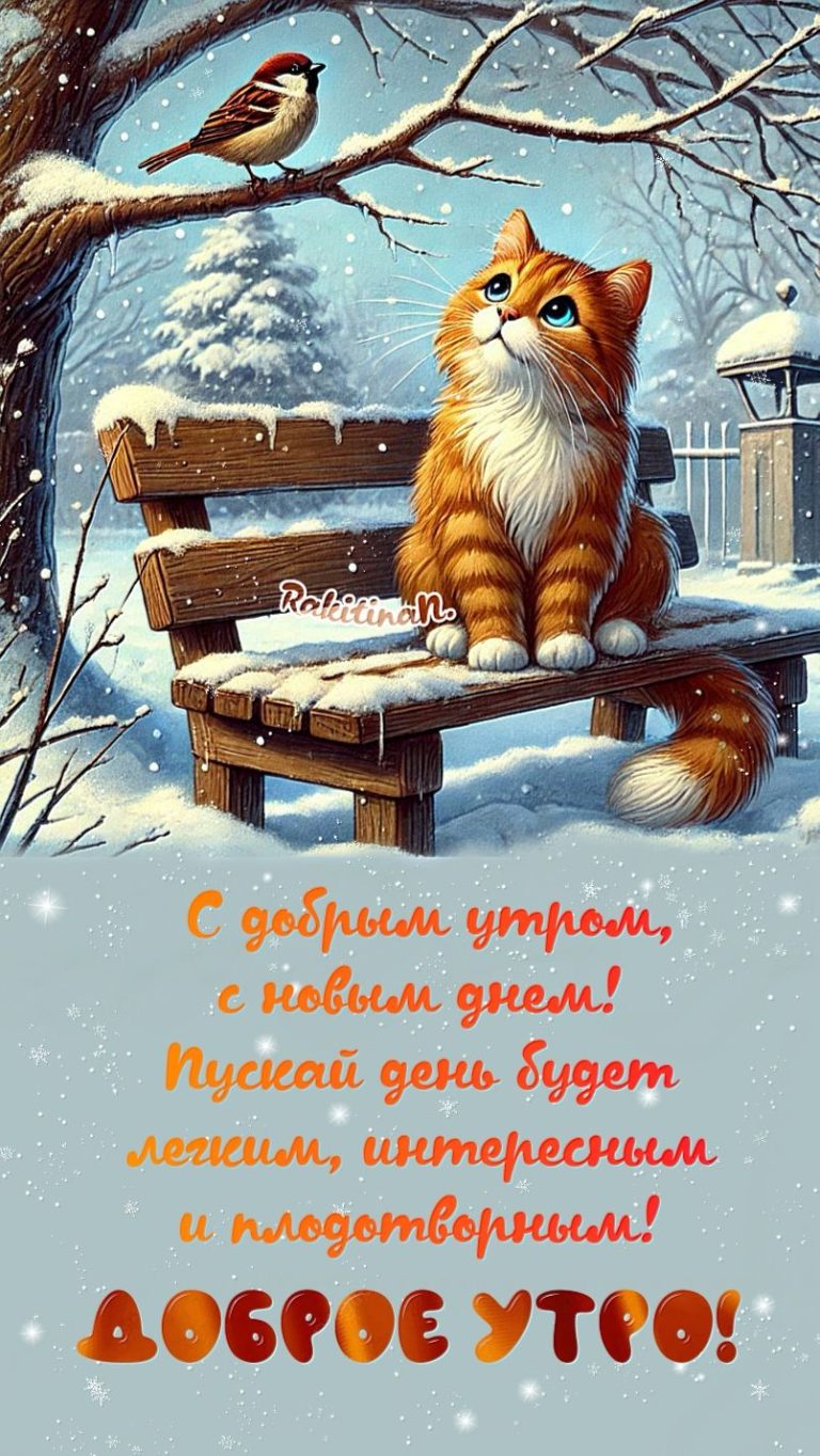 Доброе утро! Доброе утро!