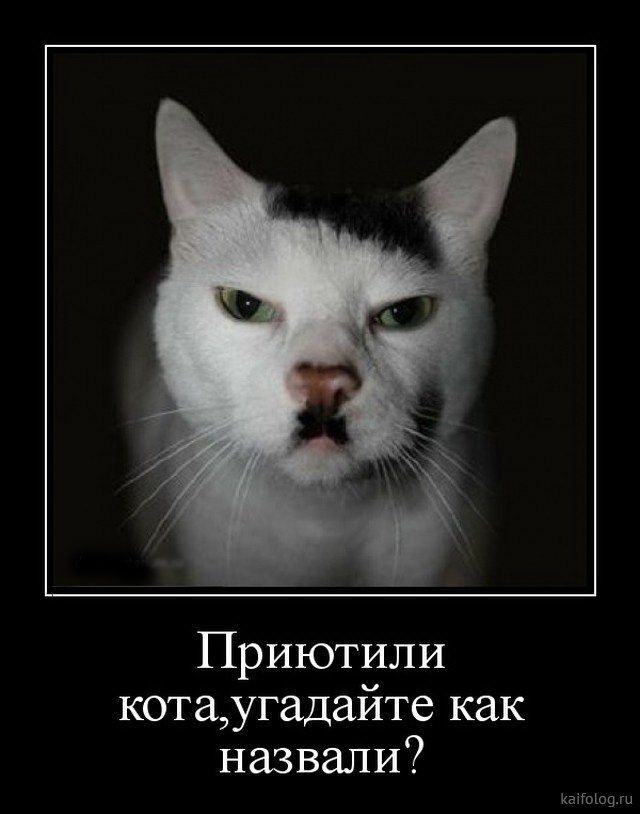 Ваше мнение?