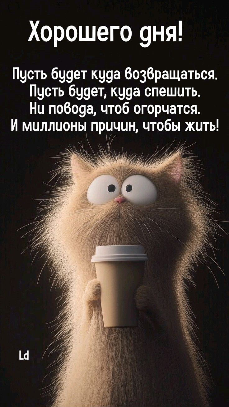 Хорошего дня Хорошего дня
