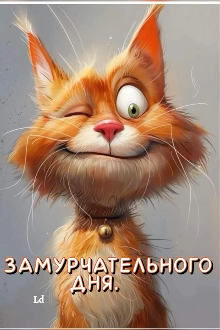 Одноглазка Одноглазка