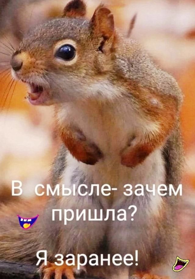 В смысле- зачем пришла? Я заранее! – АйДаПрикол В смысле- зачем пришла? Я заранее! – АйДаПрикол