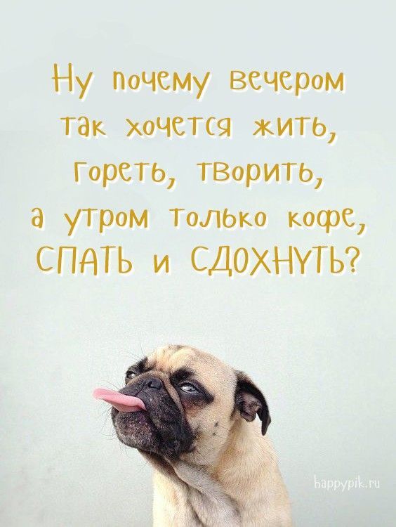 Прикольные картинки Доброе утро 👍 😄 – скачать Прикольные картинки Доброе утро 👍 😄 – скачать