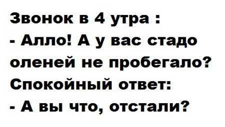 юмор очень смешно 80 юмор очень смешно 80