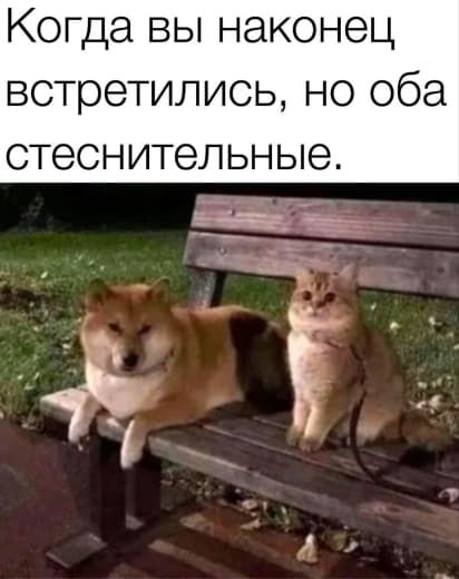 подписочку на телаграм канал подписочку на телаграм канал