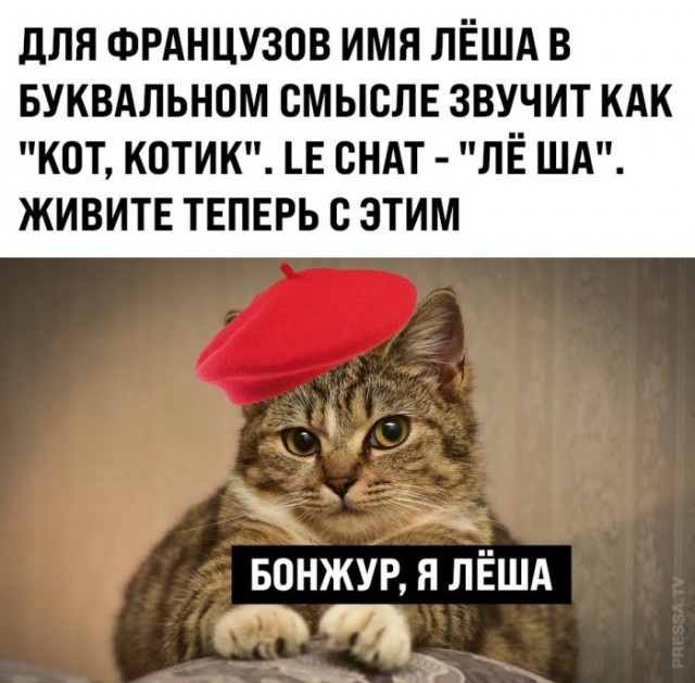 Картинки и мемы для настроения 008 – ЯПлакалъ