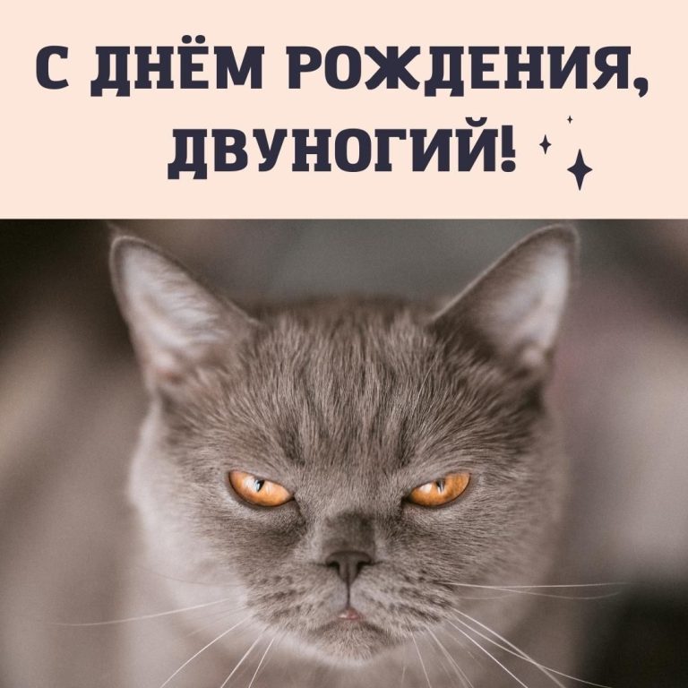 Прикольные картинки с днем рождения с веселыми надписями и шутками Прикольные картинки с днем рождения с веселыми надписями и шутками
