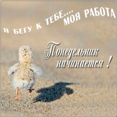 Открытки с понедельником и прикольные картинки на понедельник Открытки с понедельником и прикольные картинки на понедельник