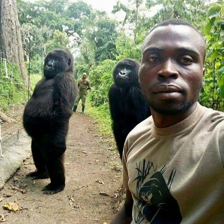 From monkey business to royal photobombs: a history of seminal selfies – in pictures From monkey business to royal photobombs: a history of seminal selfies – in pictures