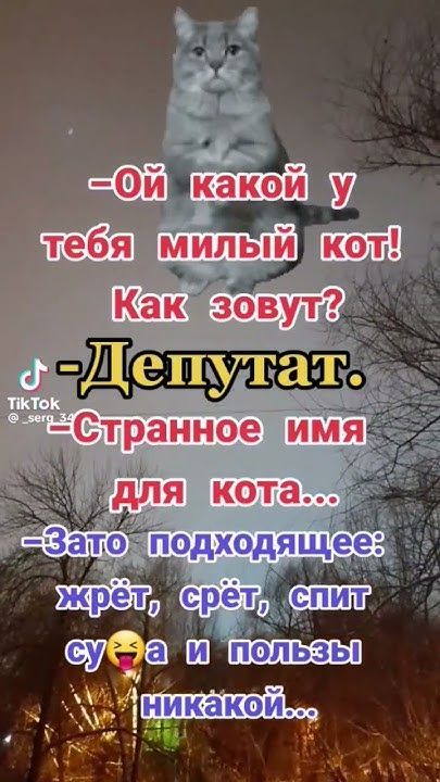 🤣😂👍