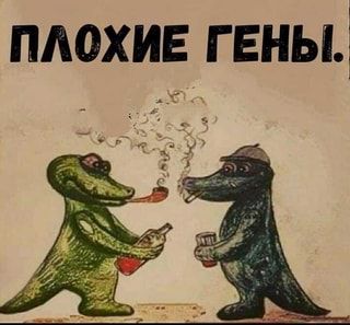 ПЛОХИЕ ГЕНЫ. – АйДаПрикол ПЛОХИЕ ГЕНЫ. – АйДаПрикол