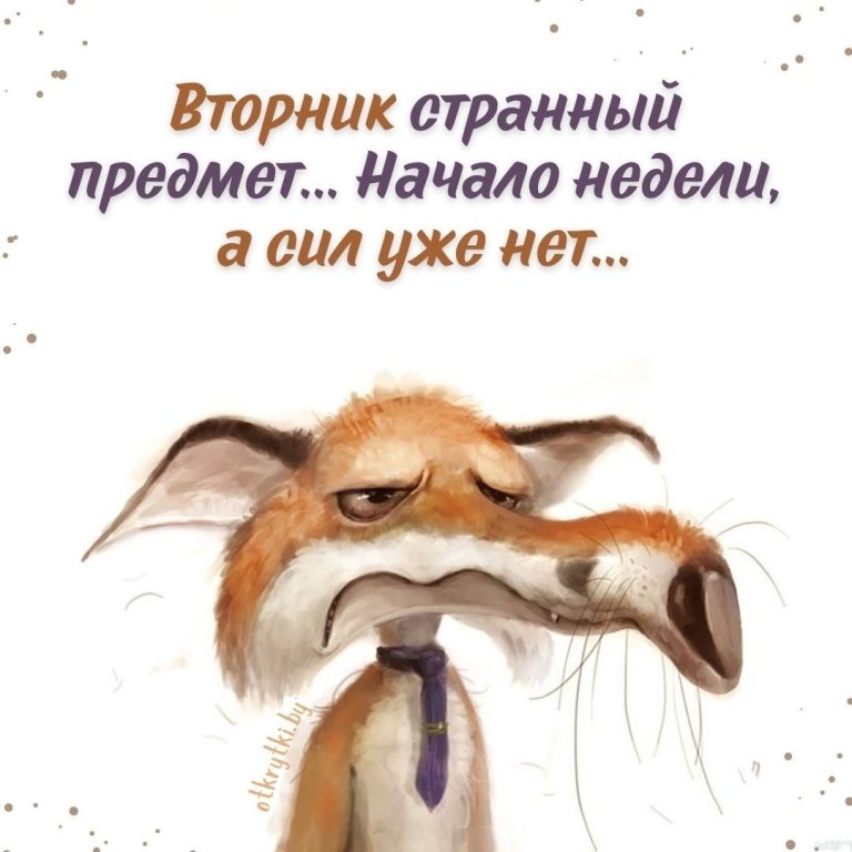Веселые картинки про ВТОРНИК с добрыми словами и юмором Веселые картинки про ВТОРНИК с добрыми словами и юмором
