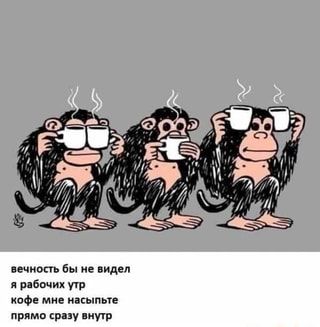 Вечность бы не видел я рабочих утр кофе мне насыпьте прямо сразу внутр – АйДаПрикол Вечность бы не видел я рабочих утр кофе мне насыпьте прямо сразу внутр – АйДаПрикол