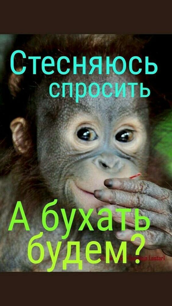 картинки смешные797 картинки смешные797