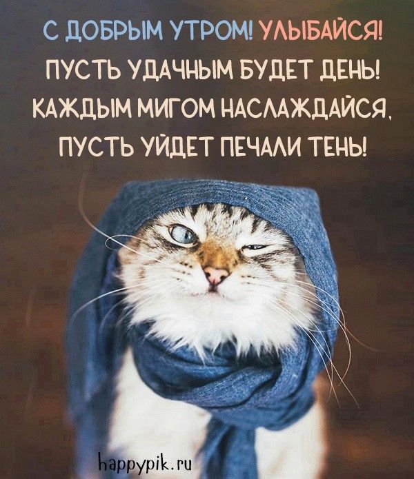 Позитивные картинки Доброе утро 😄 👇 – скачать Позитивные картинки Доброе утро 😄 👇 – скачать