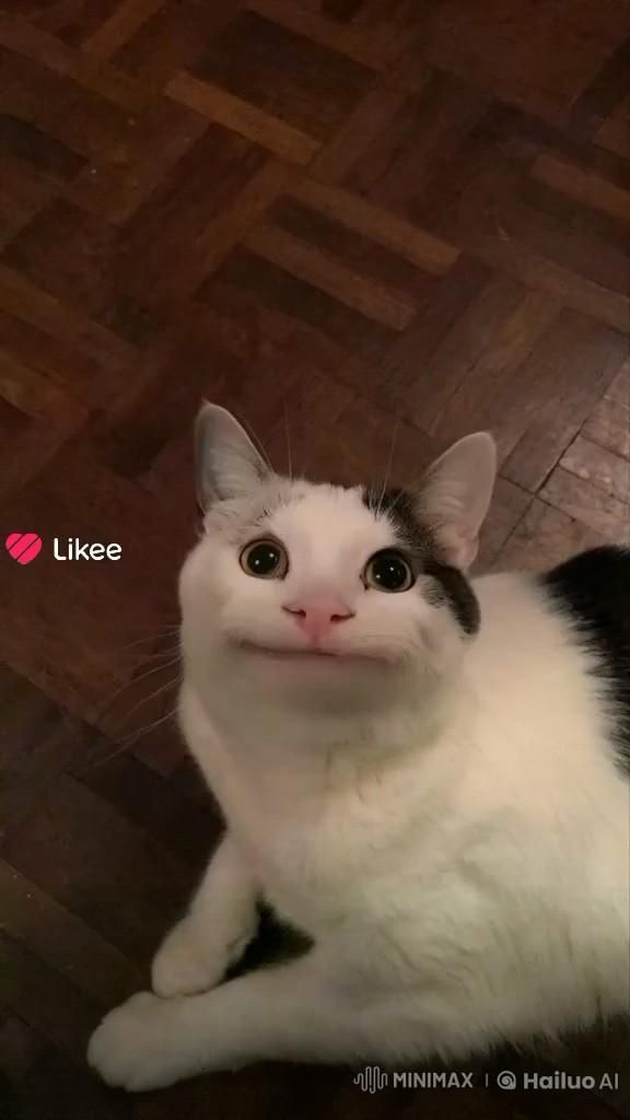 Это безопасно лайкать ? Это безопасно лайкать ?