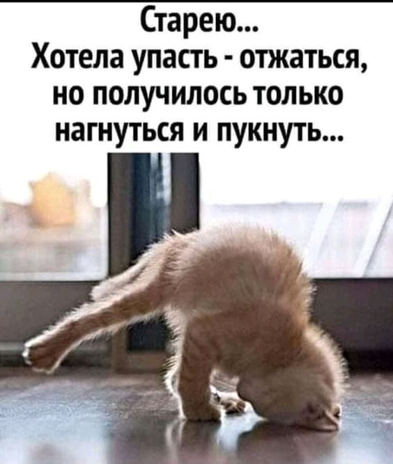 Старею… Хотела упасть – отжаться, но получилось только нагнуться и пукнуть… – АйДаПрикол Старею… Хотела упасть – отжаться, но получилось только нагнуться и пукнуть… – АйДаПрикол