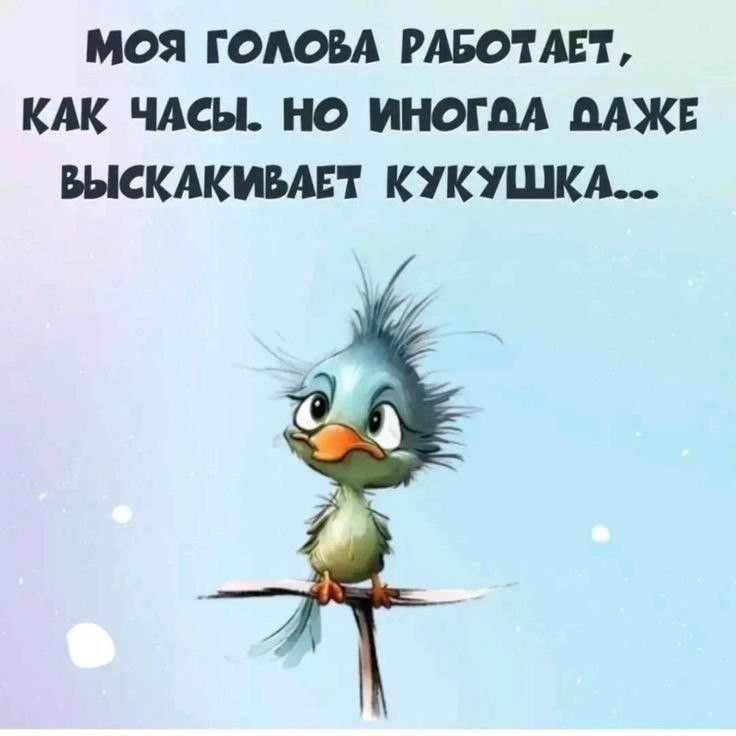 Коллекция смешных картинок в Телеграм Коллекция смешных картинок в Телеграм