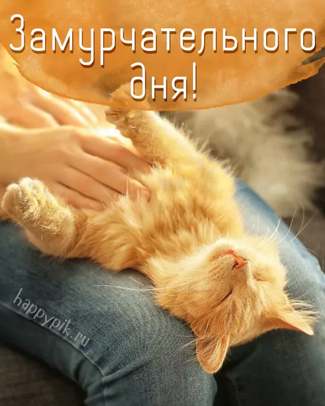 Картинки с надписями “Доброе утро!” Картинки с надписями “Доброе утро!”