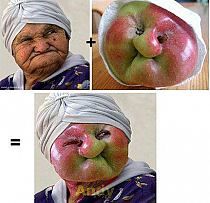 ☆ Humor & inne cool….☆ ✽ – ☆ Humor & inne cool….☆ ✽ –
