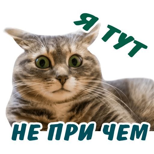 Набор стикеров для Telegram «Животные» Набор стикеров для Telegram «Животные»