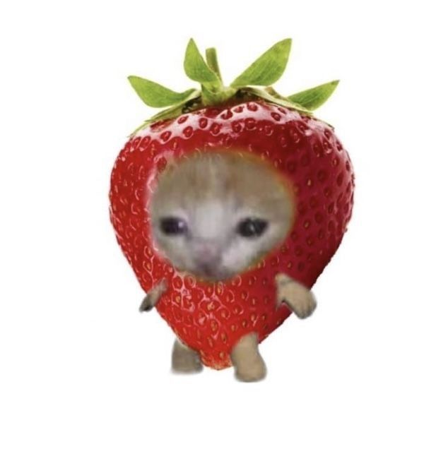 Gatito fresa Gatito fresa