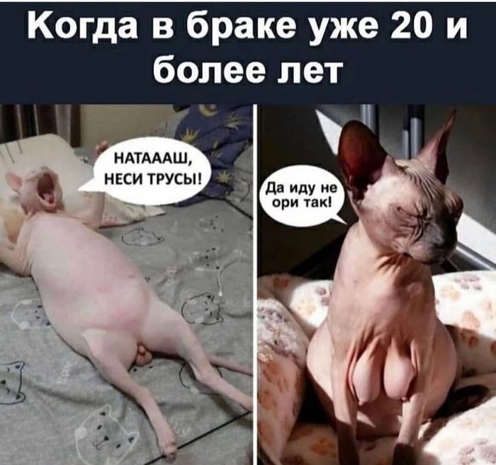 Домашняя Раскрепощенность Домашняя Раскрепощенность