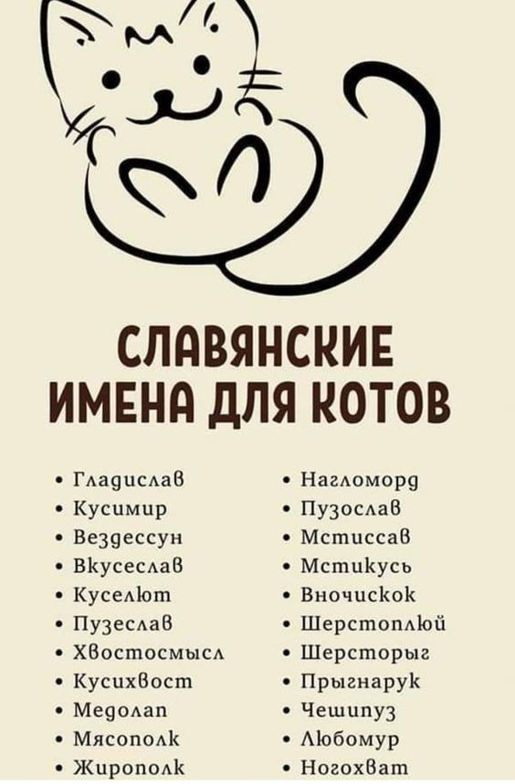 юмор очень смешно 972 юмор очень смешно 972