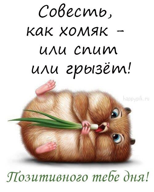 Прикольные картинки Доброе утро 👍 😄 – скачать Прикольные картинки Доброе утро 👍 😄 – скачать