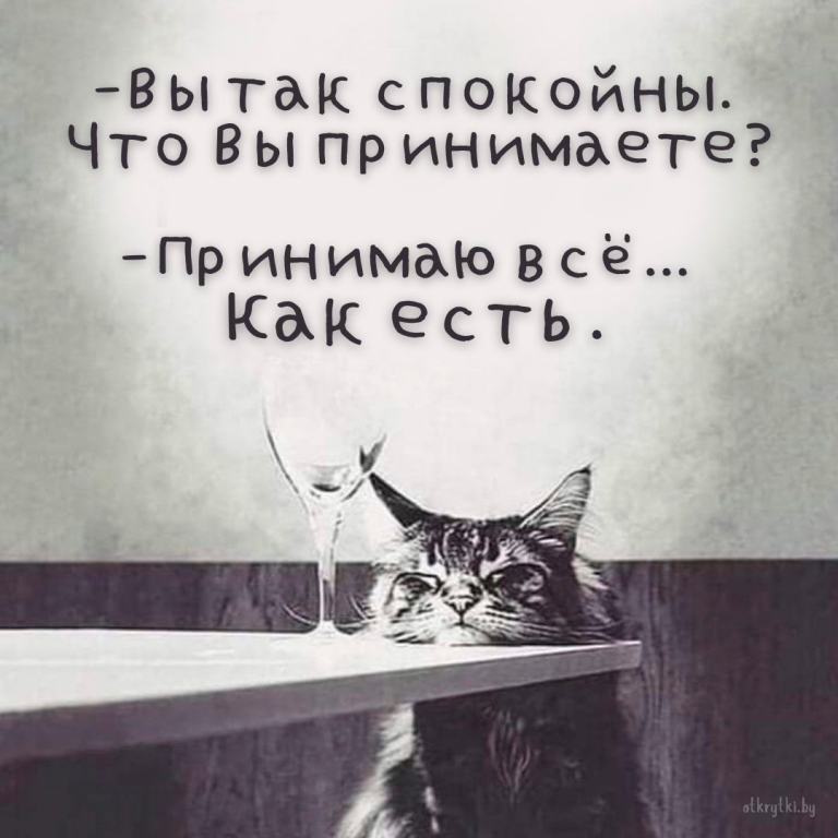 Коллекция картинок с надписями про СПОКОЙСТВИЕ Коллекция картинок с надписями про СПОКОЙСТВИЕ
