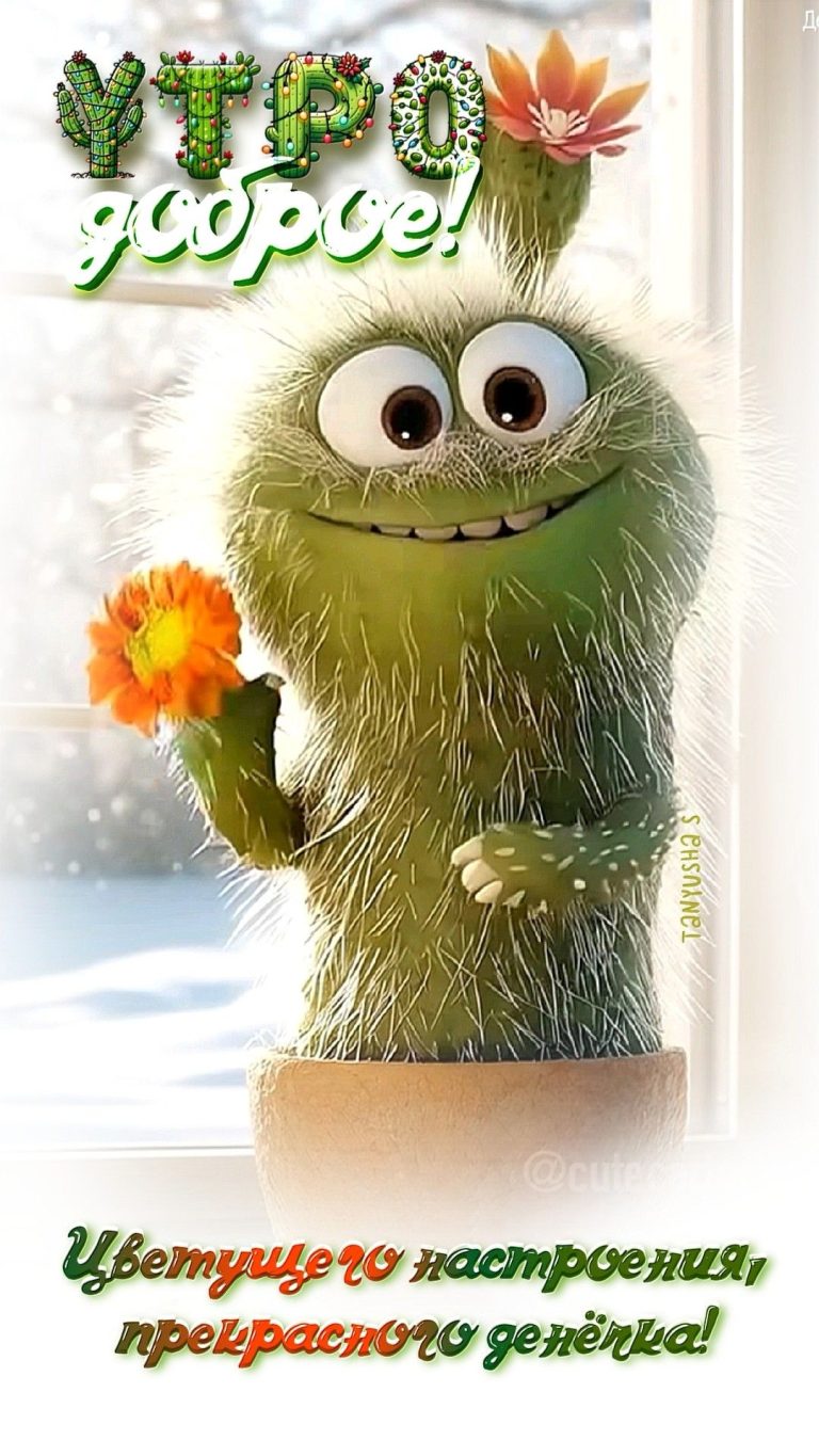 УТРО ДОБРОЕ!🌼 УТРО ДОБРОЕ!🌼