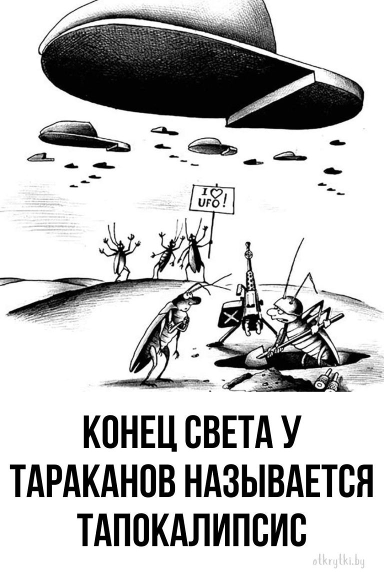 Оригинальные картинки про ТАРАКАНОВ с юмором и надписями