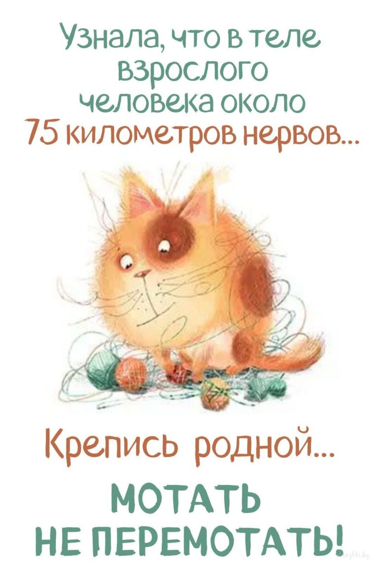 20+ оригинальных веселых картинок ПРО НЕРВЫ с юмором 20+ оригинальных веселых картинок ПРО НЕРВЫ с юмором
